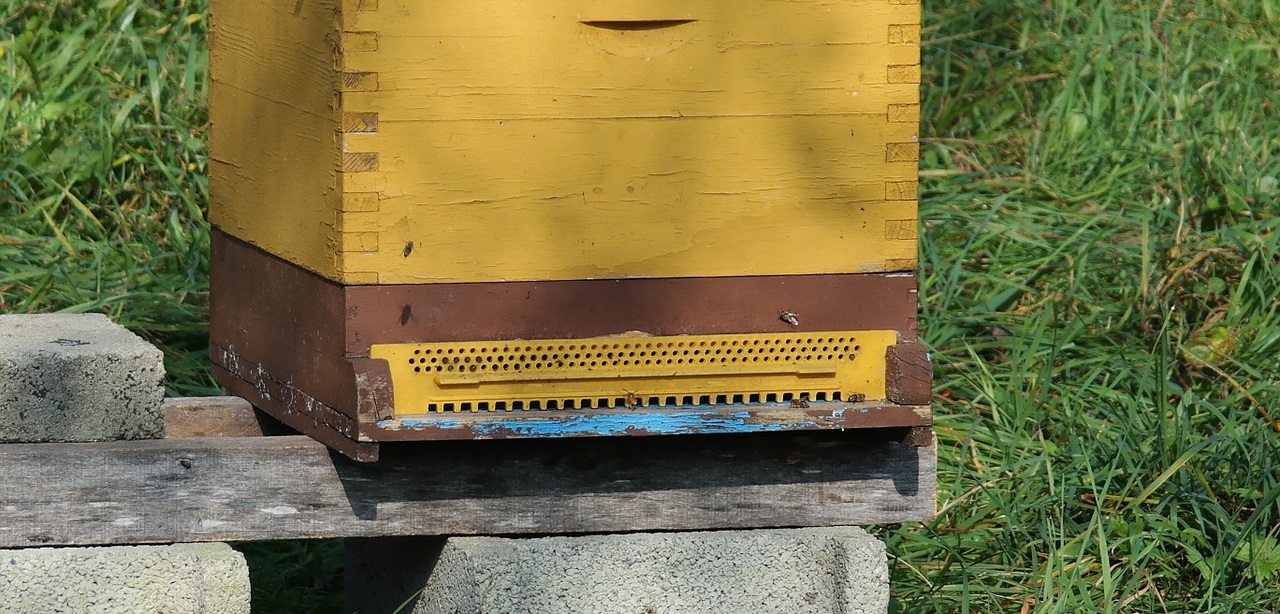 Пчелиный улей